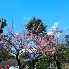 牟呂八幡宮(愛知県)