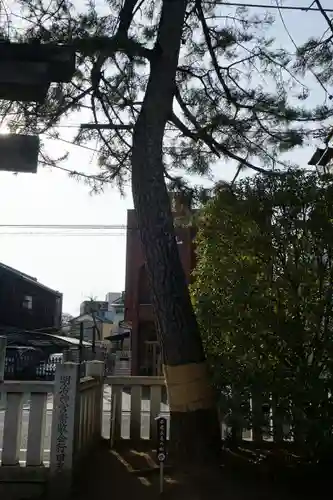 行田八幡神社の自然