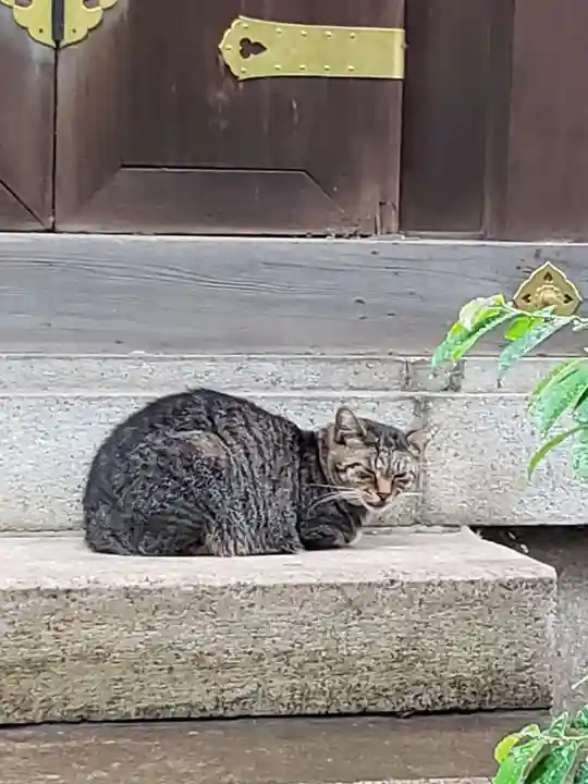 白金氷川神社(東京都)