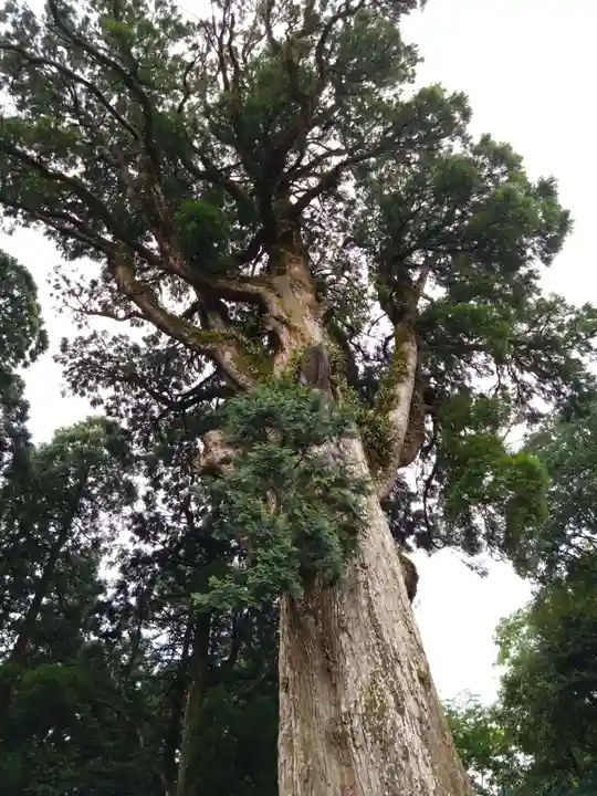 霧島神宮(鹿児島県)