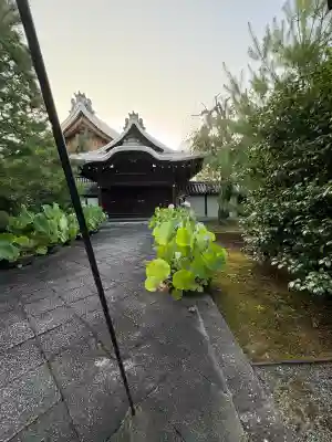 妙心寺（妙心禅寺）(京都府)