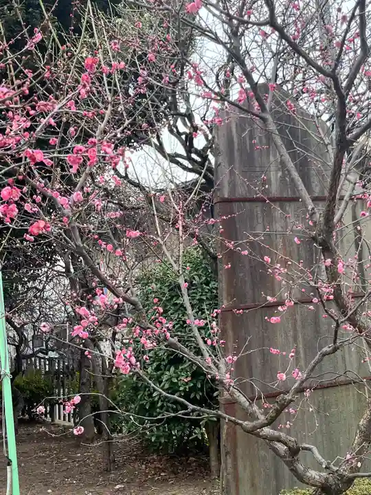 亀戸天神社(東京都)