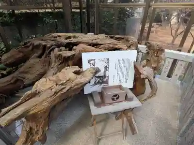 天沼熊野神社(東京都)