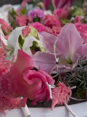 鳩森八幡神社(東京都)