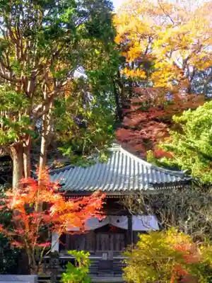 安國論寺（安国論寺）の本殿・本堂