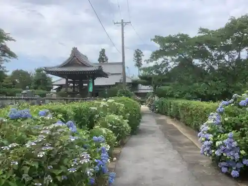 安穏寺の庭園