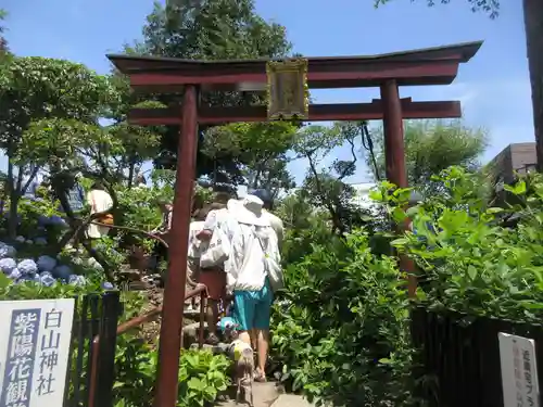 白山神社(東京都)