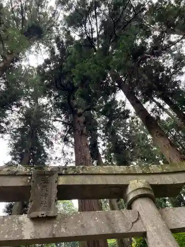 大宮温泉神社の鳥居