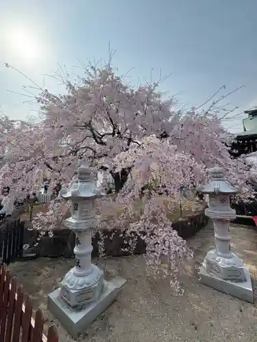 観音神社(広島県)