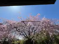 退蔵院(京都府)