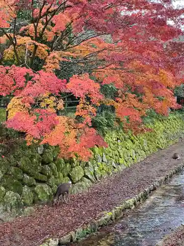 厳島神社の庭園