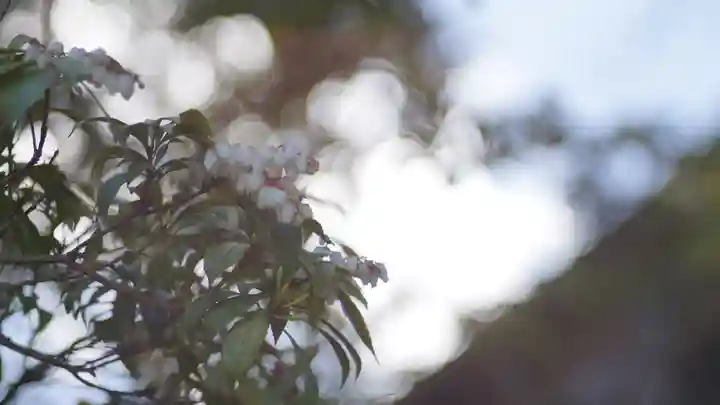新長谷寺(京都府)