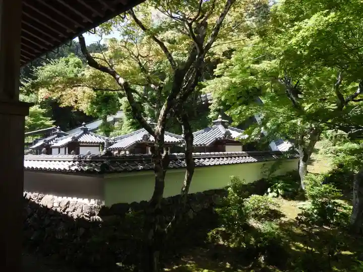 清滝寺徳源院(滋賀県)