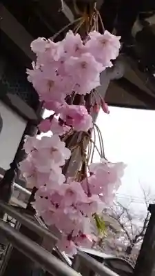 法蓮寺(東京都)