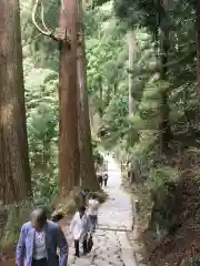 室生寺の建物その他