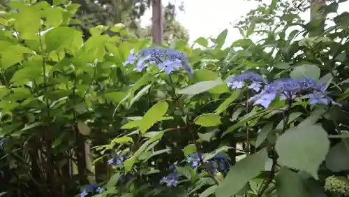 柳谷観音　楊谷寺(京都府)