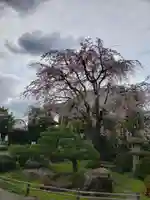 最勝寺(東京都)