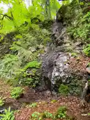 清瀧神社の自然