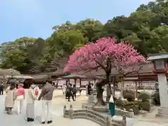 太宰府天満宮の建物その他