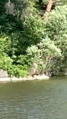 千鹿頭神社(長野県)