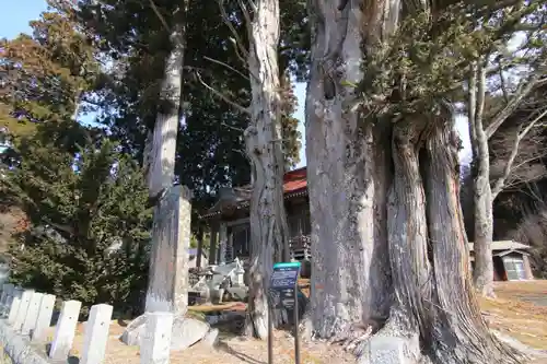 三坂稲荷神社の自然