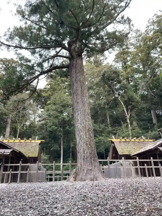 瀧原宮(皇大神宮別宮)(三重県)