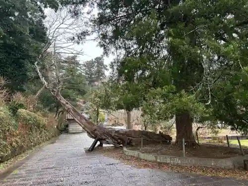 日運寺の{uncategorized: "未分類", other: "その他", undefined: "問題あり", building: "その他建物", grave: "お墓", sacred_gate: "鳥居", guardian: "狛犬", statue: "像", buddha: "仏像", history: "歴史", nature: "自然", garden: "庭園", animal: "動物", pagoda: "塔", temizu: "手水舎", mountain_gate: "山門・神門", sanctuary: "本殿・本堂", subordinate: "末社・摂社", art: "芸術", scenery: "景色", jizo: "地蔵", ema: "絵馬", goshuin: "御朱印", omikuji: "おみくじ", items: "授与品その他", amulet: "お守り", goshuincho: "御朱印帳", eats: "食事", festival: "お祭り", votive_dance: "神楽", shichigosan: "七五三参", wedding: "結婚式", experience: "体験その他", initially: "初詣", around: "周辺", anti_infection: "感染症対策"}