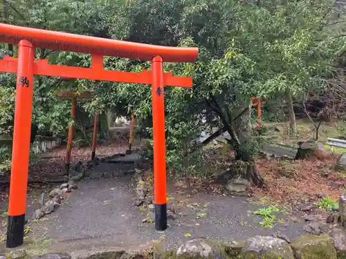 鹿児島神宮(鹿児島県)
