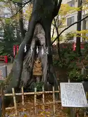 秩父今宮神社(埼玉県)