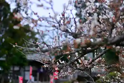 永谷天満宮(神奈川県)