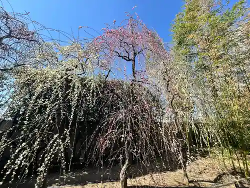 城南宮(京都府)