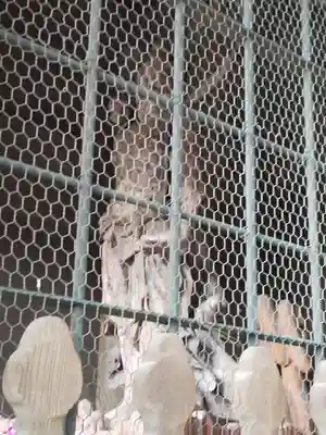 成田山新勝寺のその他建物