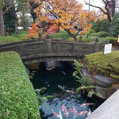 浅草寺の庭園