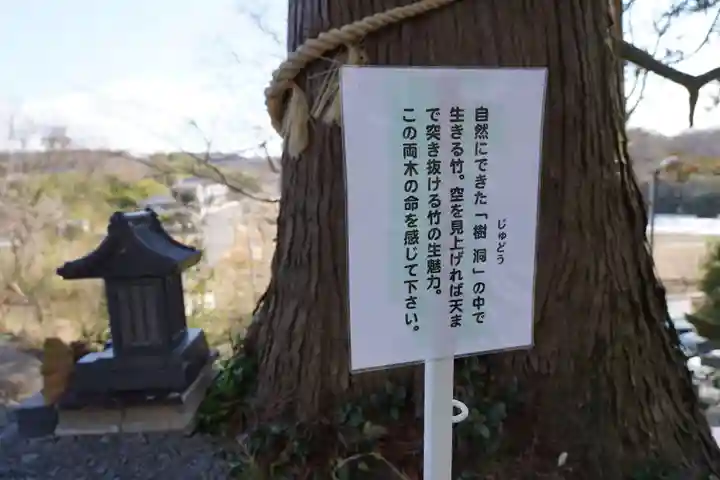 阿久津「田村神社」(郡山市阿久津町)旧社名:伊豆箱根三嶋三社の歴史