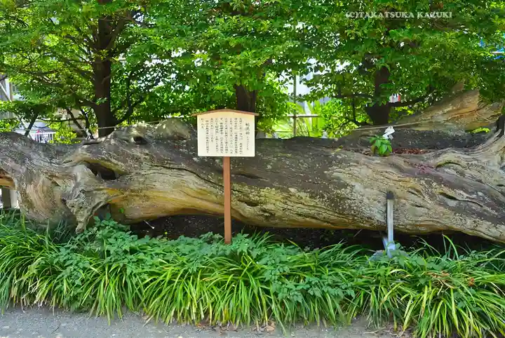 瀬戸神社(神奈川県)
