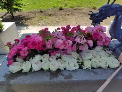 鹿追神社の手水舎