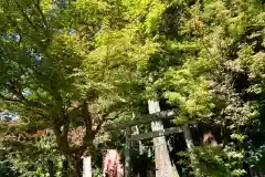 鹿島大神宮の鳥居