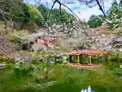 醍醐寺(京都府)