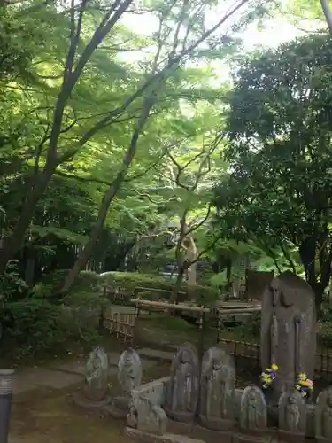 大正寺の庭園