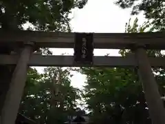 亀岡八幡宮（亀岡八幡神社）の鳥居