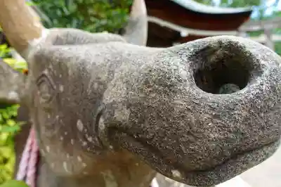 長岡天満宮の狛犬