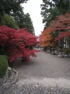 能仁寺(埼玉県)