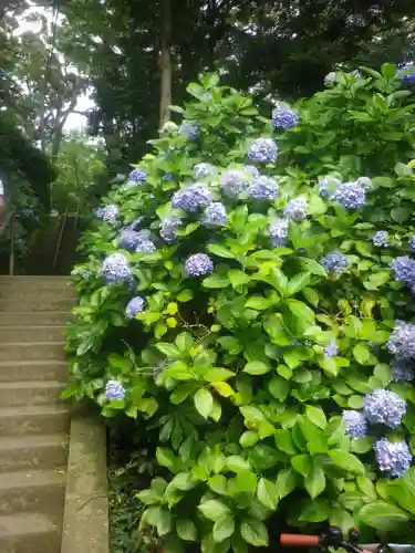 妙本寺の庭園