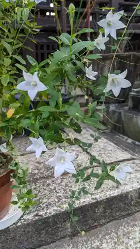 行願寺（革堂）(京都府)