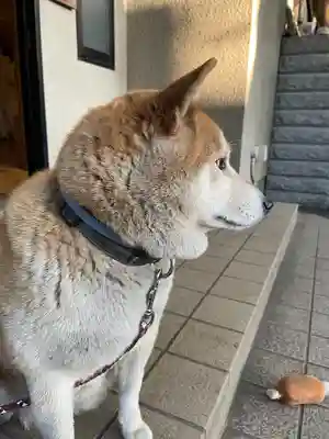 笠䅣稲荷神社(神奈川県)