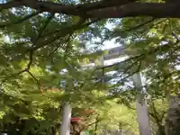 宝満宮竈門神社の鳥居
