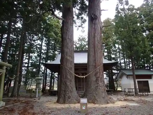 八雲神社・境内飯豊和気神社遥拝殿の本殿