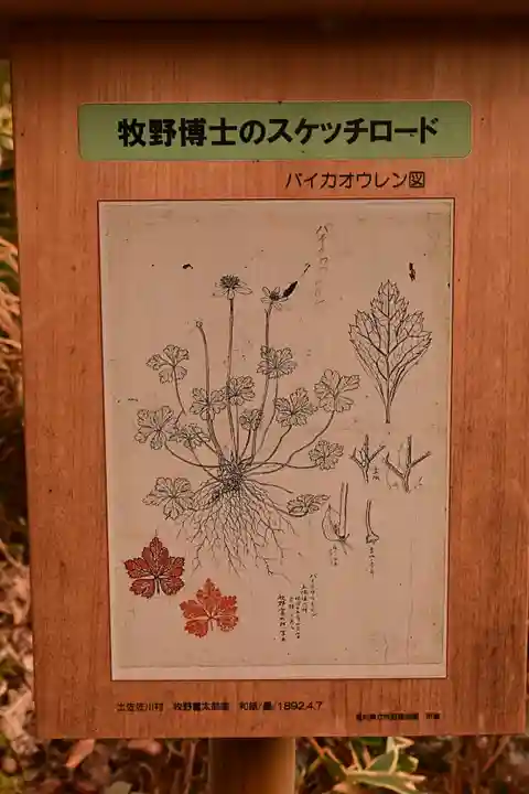 金峰神社(高知県)