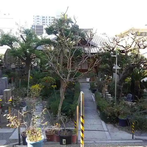 蓮光寺のその他建物