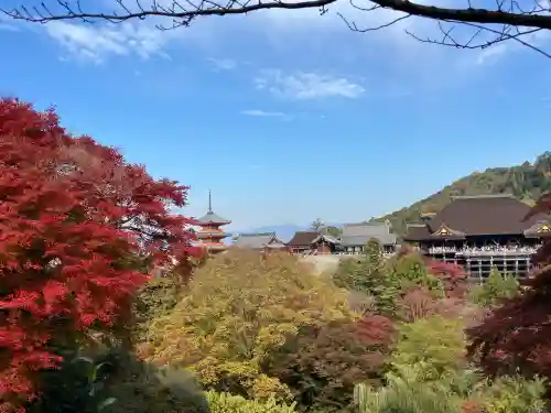 清水寺(京都府)